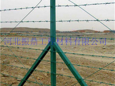 刺絲圍欄圖片4